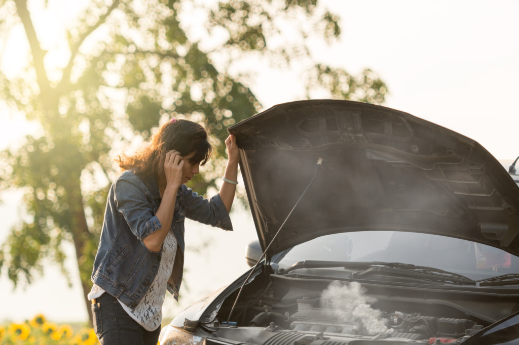 An engine overheating on the side of a road near Orangeburg, South Carolina