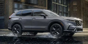 2026 Honda CR-V in Orangeburg, SC